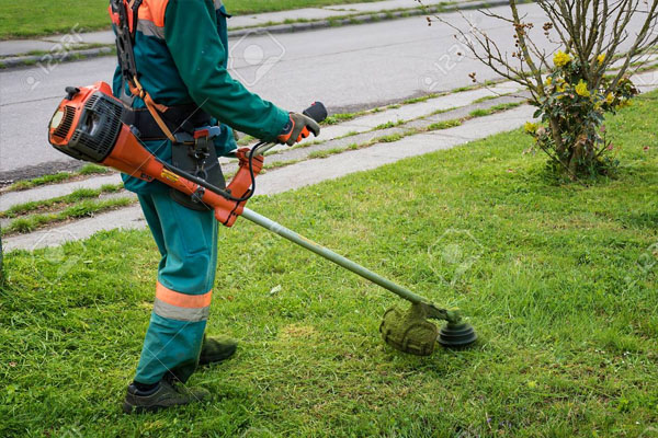 Správa nemovitostí a technické služby